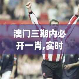 澳门三期内必开一肖,实时信息解析说明_VE版7.428