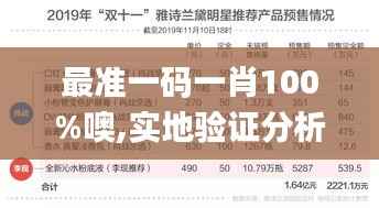 最准一码一肖100%噢,实地验证分析数据_C版12.756