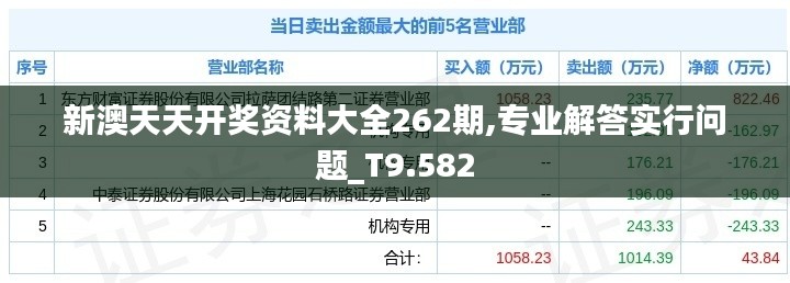 新澳天天开奖资料大全262期,专业解答实行问题_T9.582