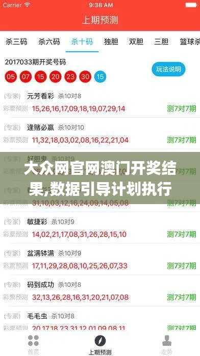 大众网官网澳门开奖结果,数据引导计划执行_终极版2.111