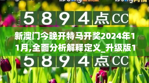 新澳门今晚开特马开奖2024年11月,全面分析解释定义_升级版1.235