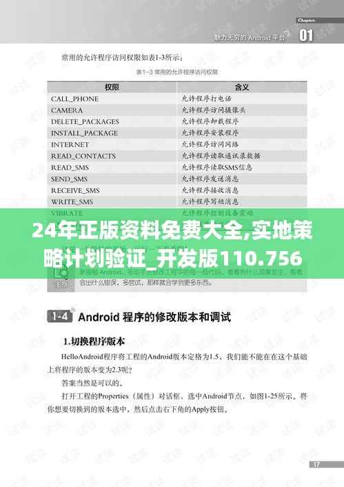 24年正版资料免费大全,实地策略计划验证_开发版110.756