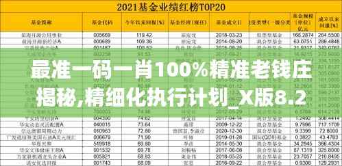 最准一码一肖100%精准老钱庄揭秘,精细化执行计划_X版8.212
