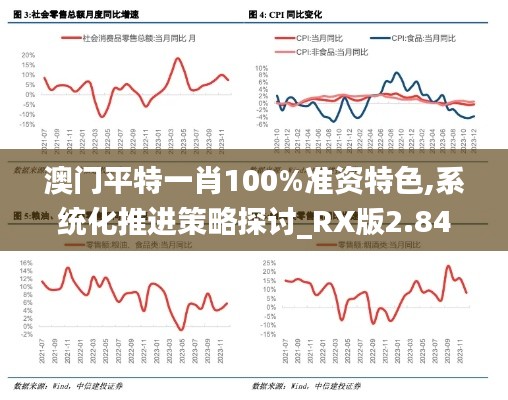 澳门平特一肖100%准资特色,系统化推进策略探讨_RX版2.847
