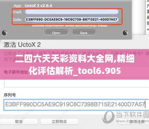 二四六天天彩资料大全网,精细化评估解析_tool6.905