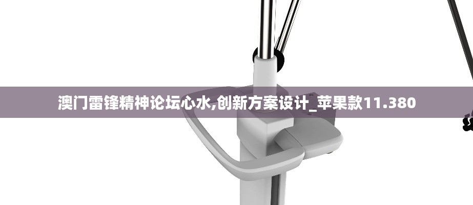 澳门雷锋精神论坛心水,创新方案设计_苹果款11.380