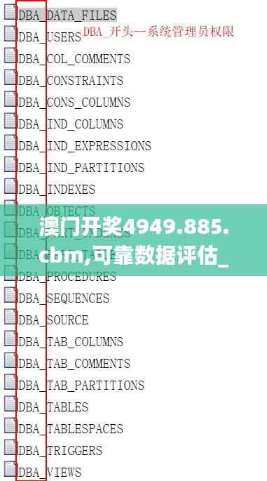 澳门开奖4949.885.cbm,可靠数据评估_AR版2.253