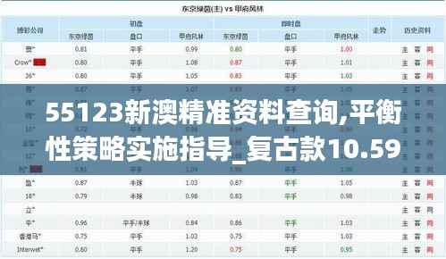 55123新澳精准资料查询,平衡性策略实施指导_复古款10.599