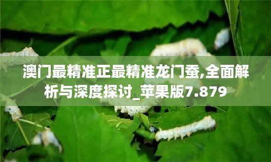 澳门最精准正最精准龙门蚕,全面解析与深度探讨_苹果版7.879
