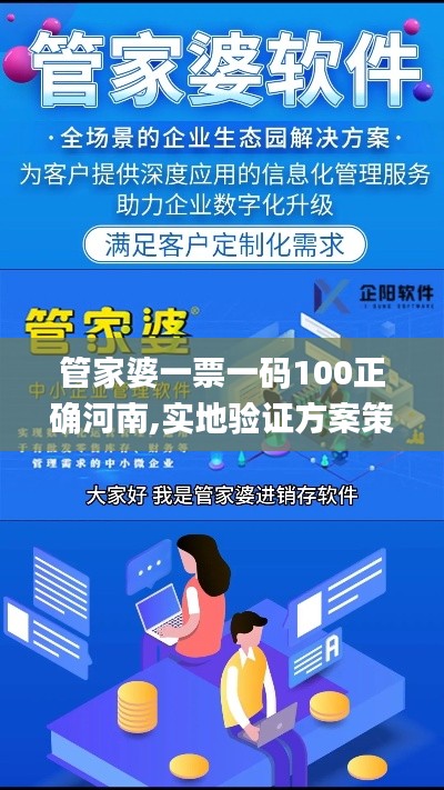 管家婆一票一码100正确河南,实地验证方案策略_桌面版10.942