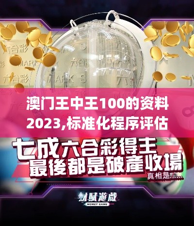 澳门王中王100的资料2023,标准化程序评估_8DM4.597