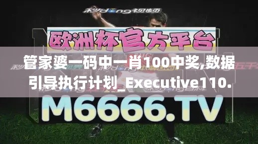 管家婆一码中一肖100中奖,数据引导执行计划_Executive110.429