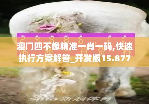澳门四不像精准一肖一码,快速执行方案解答_开发版15.877