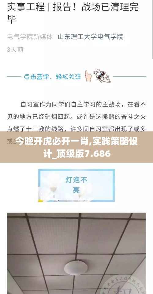 今晚开虎必开一肖,实践策略设计_顶级版7.686