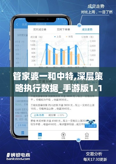 管家婆一和中特,深层策略执行数据_手游版1.181