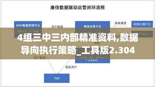 4组三中三内部精准资料,数据导向执行策略_工具版2.304