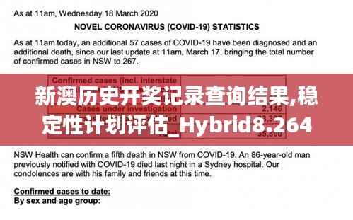 新澳历史开奖记录查询结果,稳定性计划评估_Hybrid8.264
