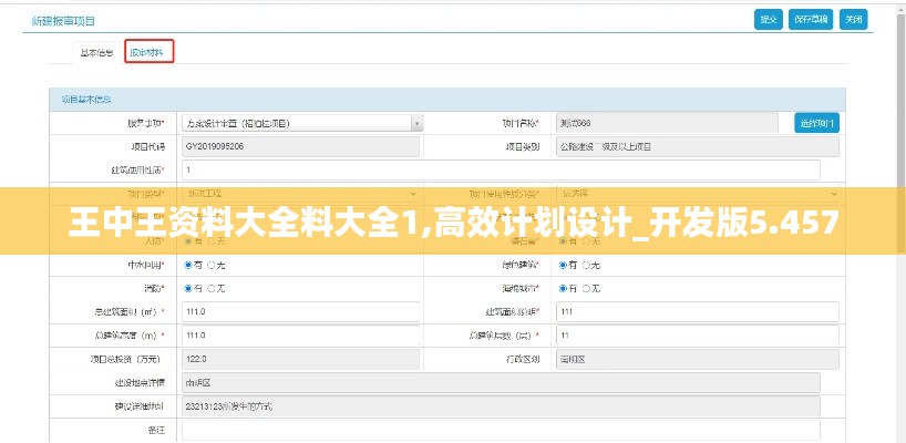 王中王资料大全料大全1,高效计划设计_开发版5.457
