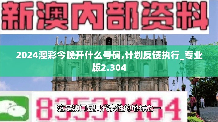 2024澳彩今晚开什么号码,计划反馈执行_专业版2.304