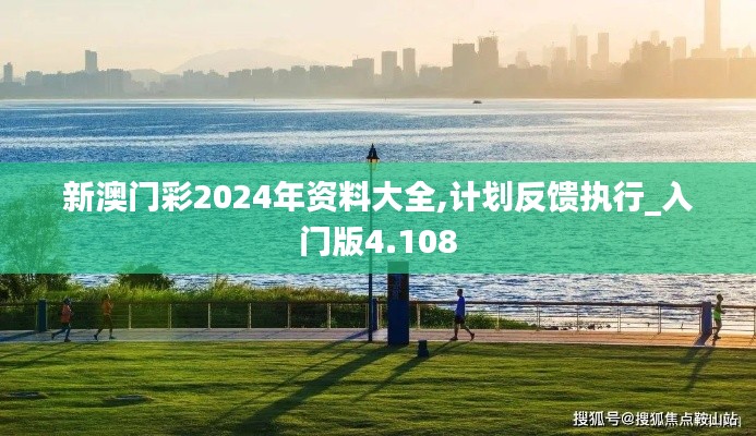 新澳门彩2024年资料大全,计划反馈执行_入门版4.108