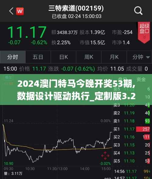 2024澳门特马今晚开奖53期,数据设计驱动执行_定制版3.290