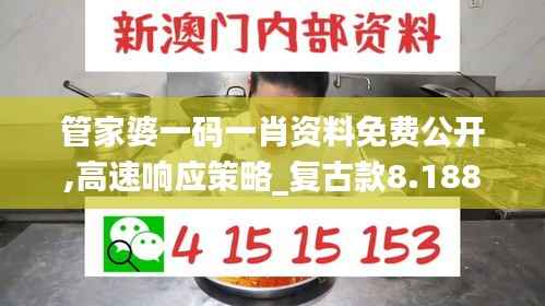 管家婆一码一肖资料免费公开,高速响应策略_复古款8.188