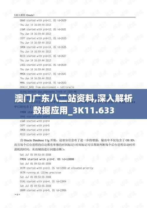 澳门广东八二站资料,深入解析数据应用_3K11.633