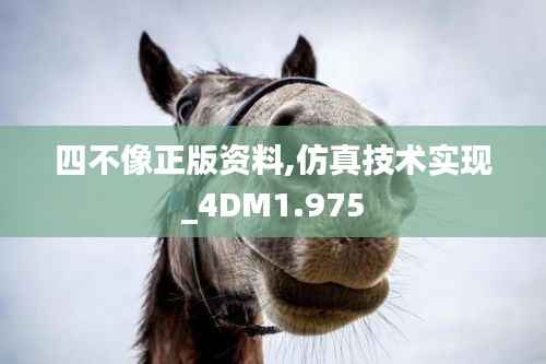 四不像正版资料,仿真技术实现_4DM1.975