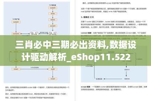 三肖必中三期必出资料,数据设计驱动解析_eShop11.522