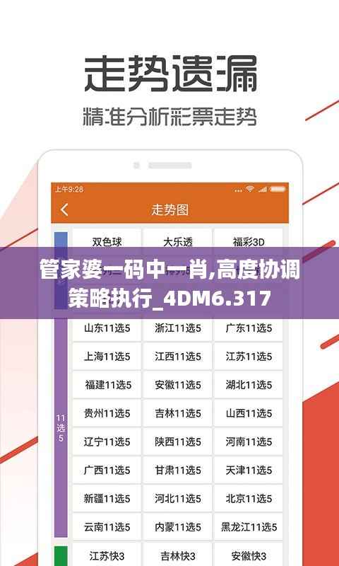 管家婆一码中一肖,高度协调策略执行_4DM6.317