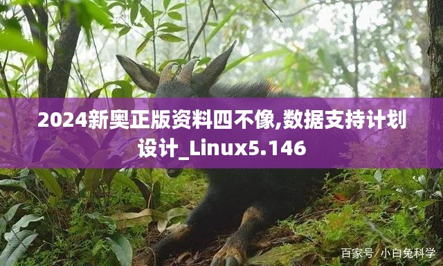 2024新奥正版资料四不像,数据支持计划设计_Linux5.146