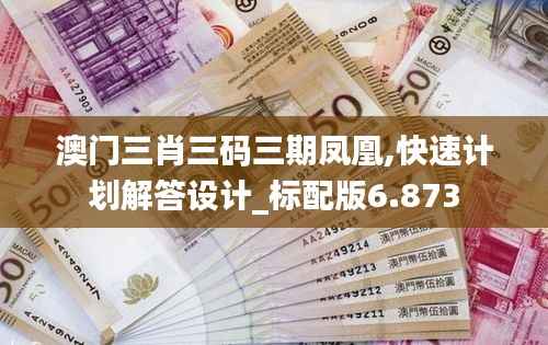 澳门三肖三码三期凤凰,快速计划解答设计_标配版6.873