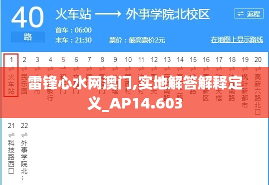 雷锋心水网澳门,实地解答解释定义_AP14.603