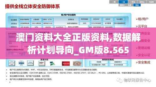 澳门资料大全正版资料,数据解析计划导向_GM版8.565