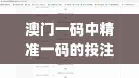 澳门一码中精准一码的投注技巧,实践验证解释定义_Harmony5.447