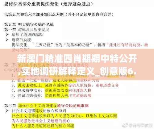 新澳门精准四肖期期中特公开,实地调研解释定义_创意版6.819