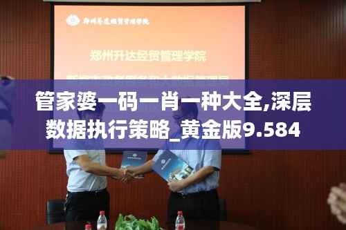 管家婆一码一肖一种大全,深层数据执行策略_黄金版9.584