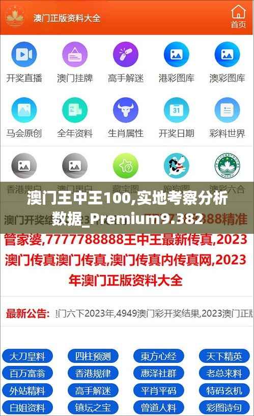 澳门王中王100,实地考察分析数据_Premium9.382