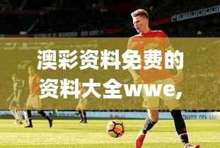 澳彩资料免费的资料大全wwe,专业执行解答_Advance8.248