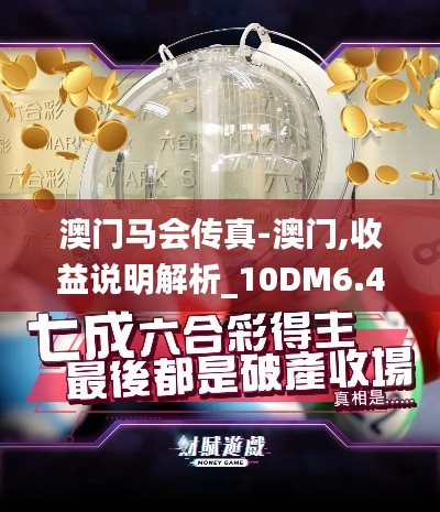 澳门马会传真-澳门,收益说明解析_10DM6.487