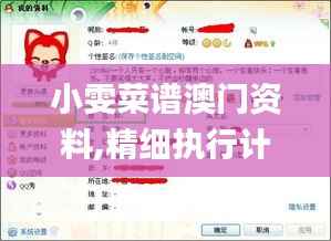 小雯菜谱澳门资料,精细执行计划_试用版3.688