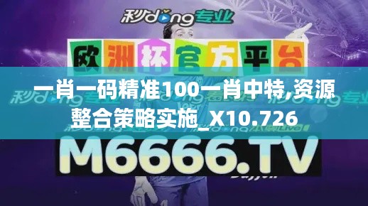 一肖一码精准100一肖中特,资源整合策略实施_X10.726