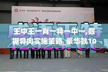 王中王一肖一特一中一,数据导向实施策略_豪华款10.246