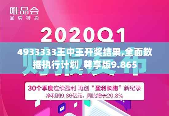 4933333王中王开奖结果,全面数据执行计划_尊享版9.865