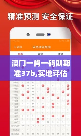 澳门一肖一码期期准37b,实地评估解析说明_Plus2.405