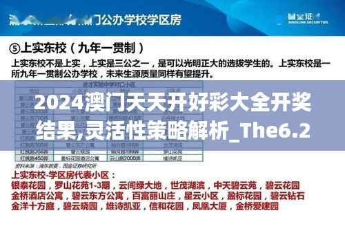 2024澳门天天开好彩大全开奖结果,灵活性策略解析_The6.234