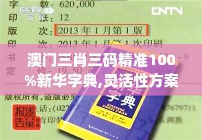 澳门三肖三码精准100%新华字典,灵活性方案解析_视频版10.431