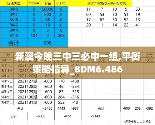 新澳今晚三中三必中一组,平衡策略指导_8DM6.486