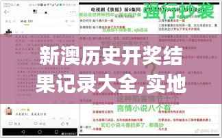 新澳历史开奖结果记录大全,实地说明解析_网页款8.290