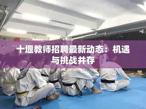 十堰教师招聘最新动态：机遇与挑战并存